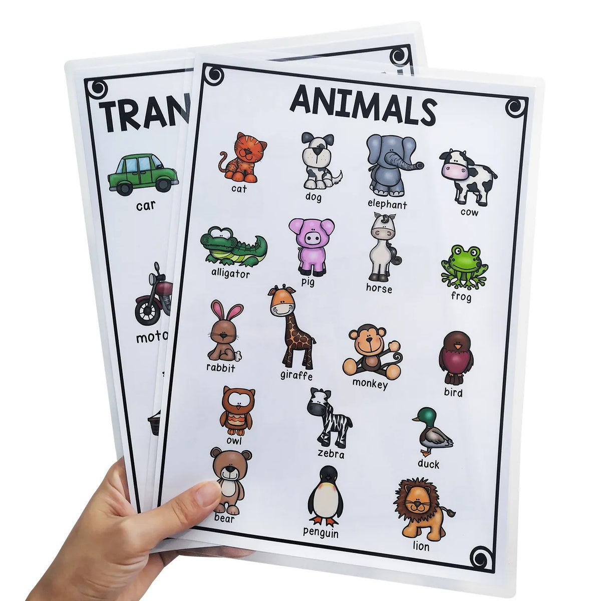 18 Laminas de Vocabulario